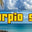 Scorpio 971 logo